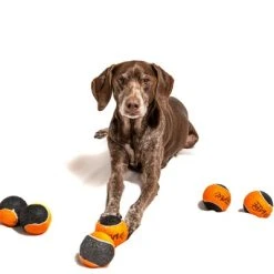 Midlee Orange/Black Dog Halloween Tennis Balls- Set of 6 -Pet Halloween Costumes Shop GUEST 52700a92 8d05 4f94 a686 18786f45d19f