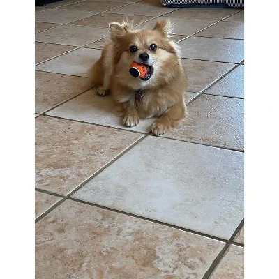 Midlee Orange/Black Mini Dog Halloween Tennis Balls- Set of 12 4 Midlee Orange/Black Mini Dog Halloween Tennis Balls- Set of 12 - Image 2