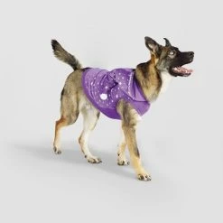 Basic Halloween Velour Wizard Cat and Dog Hoodie - Hyde & EEK! Boutique™ -Pet Halloween Costumes Shop GUEST 55bd14ed 6490 4eca 89d6 43a8245cee7c 3