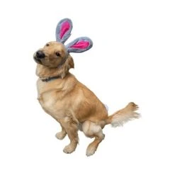 Midlee Easter Bunny Gray & Pink Rabbit Ears for Large Dogs Headband With Tail -Pet Halloween Costumes Shop GUEST 5b53873e a64b 40ca b4ee 00959d7dcdf0