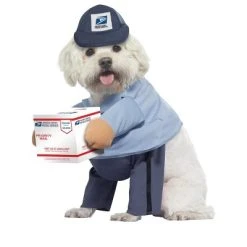 United States Postal Services US Mail Carrier Pup Pet Costume -Pet Halloween Costumes Shop GUEST 5bb132bd 6ec7 4088 a8b0 bc41185539fd 4