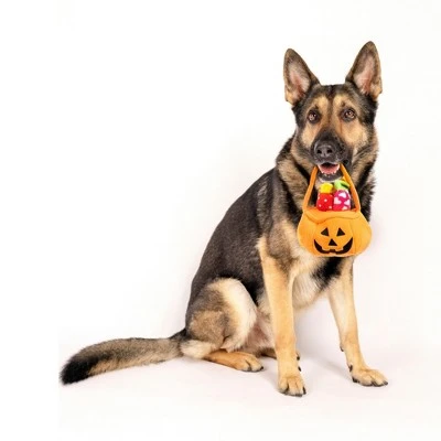 Midlee Find a Toy Halloween Pumpkin Bucket Dog Toy 3 Midlee Find a Toy Halloween Pumpkin Bucket Dog Toy - Image 2