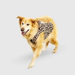 Halloween Leopard Cat and Dog Hoodie - Hyde & EEK! Boutique™ -Pet Halloween Costumes Shop GUEST 5c3ac110 1787 48b9 aa4e 5135a9468dff 2
