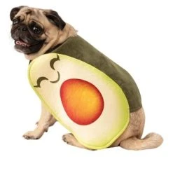 Rubie's Avocado Pet Costume -Pet Halloween Costumes Shop GUEST 5d998dd4 3ae9 4904 b32b 3890aeb3711f