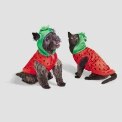 Basic Halloween Strawberry Cat and Dog Hoodie - Hyde & EEK! Boutique™ -Pet Halloween Costumes Shop GUEST 602f238f b5de 4575 804c cedc95b8509e 1
