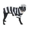 Casual Canine Prison Pooch Costume -Pet Halloween Costumes Shop GUEST 640e7ad0 21b8 46ec 8fb8 3971c0590603