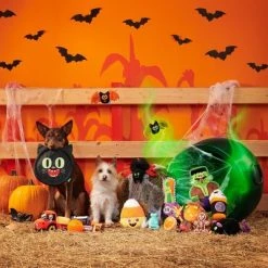 BARK Halloween Super Chewer Pumpkin Prodigy Dog Toy -Pet Halloween Costumes Shop GUEST 66b23384 cefa 47fd 861c c6f3696cc4de