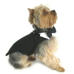 Doggie Design Black Dog Harness Wedding Tuxedo w/Tails, Bow Tie, and Cotton Collar -Pet Halloween Costumes Shop GUEST 686d5dbf dbc2 43cd 9be9 caba38835c9a