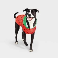 Basic Halloween Strawberry Cat and Dog Hoodie - Hyde & EEK! Boutique™ -Pet Halloween Costumes Shop GUEST 6a89f053 4a75 4ee0 ab48 2bf6a250c09f 2