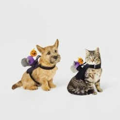 Headless Horseman Squirrel Rider Dog and Cat Costume - Hyde & EEK! Boutique™ 11 Headless Horseman Squirrel Rider Dog and Cat Costume - Hyde & EEK! Boutique™ -Pet Halloween Costumes Shop GUEST 6e9d257d 2f7c 4425 93f0 35d164d8b7a1