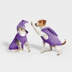 Basic Halloween Velour Wizard Cat and Dog Hoodie - Hyde & EEK! Boutique™ -Pet Halloween Costumes Shop GUEST 6f209f4a 3013 45db 97e7 e636650a8522