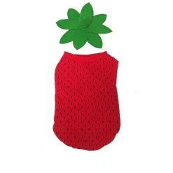 Midlee Strawberry Dog Costume