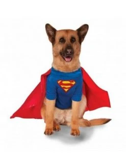 Rubie's DC Comics Superman - Big Dogs Pet Costume -Pet Halloween Costumes Shop GUEST 718397d1 efec 417c a4ff f37fc61cea33 1