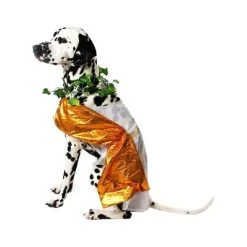 Midlee Toga Dog Costume -Pet Halloween Costumes Shop GUEST 761d0332 2f94 4b43 9071 8123f5714447