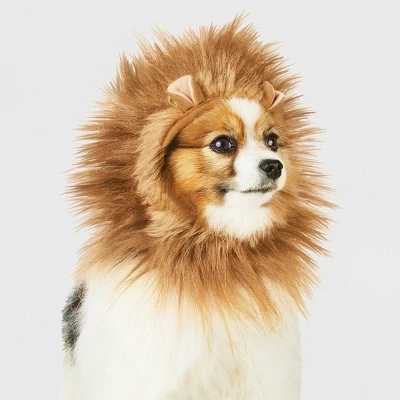 Lion Ruff Headwear Dog and Cat Costume - Brown - Hyde & EEK! Boutique™ 6 Lion Ruff Headwear Dog and Cat Costume - Brown - Hyde & EEK! Boutique™ - Image 4