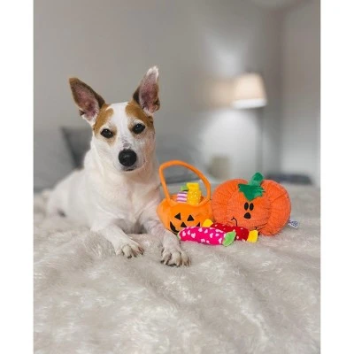 Midlee Find a Toy Halloween Pumpkin Bucket Dog Toy 5 Midlee Find a Toy Halloween Pumpkin Bucket Dog Toy - Image 4