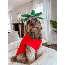 Midlee Strawberry Dog Costume -Pet Halloween Costumes Shop GUEST 7ee72a9a b952 4282 a6a0 76085d5f4f92