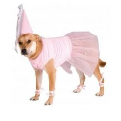 Rubie's Rubies Big Dogs Princess Pet Costume -Pet Halloween Costumes Shop GUEST 7f0e1fea 99a9 47fd a3f4 6cd92acfc83b