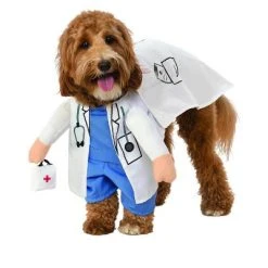 Rubie's Rubies Walking Vet Pet Costume -Pet Halloween Costumes Shop GUEST 810aac42 12e5 490b 95b7 689011950e66