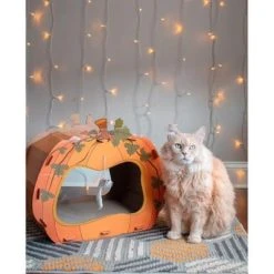 Midlee Halloween Pumpkin Cat Scratcher Cardboard House 10 Midlee Halloween Pumpkin Cat Scratcher Cardboard House -Pet Halloween Costumes Shop GUEST 84506258 d902 4e3d ba3b a514141bc8c3