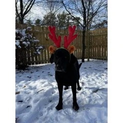 Midlee Christmas Reindeer Antlers with Ears for Large Dogs -Pet Halloween Costumes Shop GUEST 869e1043 d68f 4f5e 9a71 2e5f60c3e61f