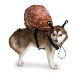 Midlee Snail Headband & Shell Dog Costume -Pet Halloween Costumes Shop GUEST 877e6e65 aae9 4112 b876 28f8333cc998