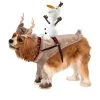 Rubie's Rubies Frozen: Sven Ride On Pet Costume -Pet Halloween Costumes Shop GUEST 87b30876 eba7 4efb 82ef 5df2222f519a