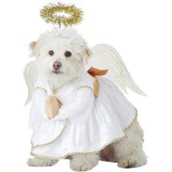 California Costumes Heavenly Hound Pet Costume