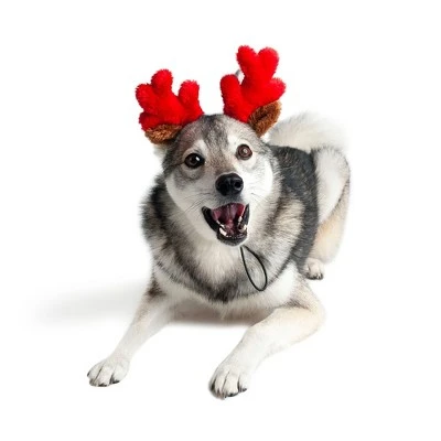 Midlee Christmas Reindeer Small Dog Antlers 6 Midlee Christmas Reindeer Small Dog Antlers - Image 4