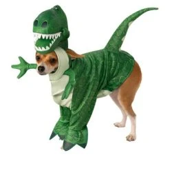 Toy Story Rex Pet Costume, Large