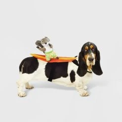 Surfing Squirrel Rider Dog and Cat Costume - Hyde & EEK! Boutique™ -Pet Halloween Costumes Shop GUEST 8da770f1 e8c3 4454 9e3b b381c479f89c 1