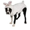Rubie's Rubies Bunny Pet Costume X Large 1 Rubie's Rubies Bunny Pet Costume X Large -Pet Halloween Costumes Shop GUEST 8ec98d2c 8ea9 4647 9bb6 470d952b971e