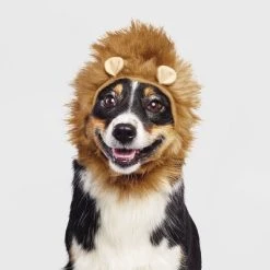 Halloween Lion Cat and Dog Headwear - Hyde & EEK! Boutique™ 10 Halloween Lion Cat and Dog Headwear - Hyde & EEK! Boutique™ -Pet Halloween Costumes Shop GUEST 8f4ac99b 8908 4bb5 830d eb060bfb391a