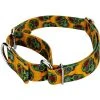 Country Brook Petz Country Brook Design Sugar Skulls Martingale Dog Collar 1 Country Brook Petz Country Brook Design Sugar Skulls Martingale Dog Collar -Pet Halloween Costumes Shop GUEST 9054eb12 b581 4cb0 a036 f912f2354a80