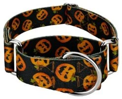 Country Brook Petz 1 1/2 Inch Happy Jack Martingale Dog Collar -Pet Halloween Costumes Shop GUEST 927779a9 6107 4274 8185 ae4352ffbc02 2