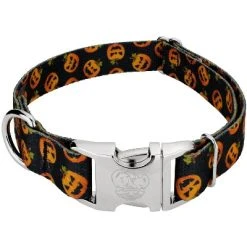 Country Brook Petz Premium Happy Jack Dog Collar -Pet Halloween Costumes Shop GUEST 9597e456 cd8e 4379 9d99 148ee501ca46 1