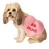 Rubie's Candy Heart Pet Costume, Medium -Pet Halloween Costumes Shop GUEST 97969a58 3a23 4b0c b974 376105d24827