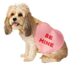 Rubie's Candy Heart Pet Costume, Medium