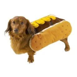 Pet Halloween Costumes Shop -Pet Halloween Costumes Shop GUEST 9b23b9a5 21d4 443a b29e 49f324e25519