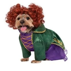 Rubie's Rubies Hocus Pocus: Winifred Pet Costume -Pet Halloween Costumes Shop GUEST 9be326ab ac9e 44f8 9c65 9cb19d20fb6a 3