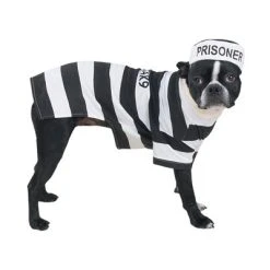 Casual Canine Prison Pooch Costume -Pet Halloween Costumes Shop GUEST 9d756c30 1dd9 4b8d bf0a 8014a133ac29