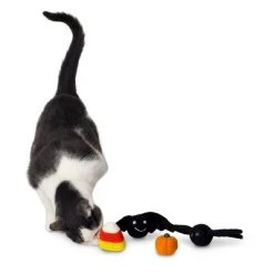 Midlee Halloween Felt Cat Toys Set- Bat, Pumpkin, Spider, Candy Corn -Pet Halloween Costumes Shop GUEST 9fd4f7e5 fca1 4aa3 9f1b 807b6e73f328