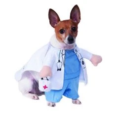 Rubie's Rubies Walking Vet Pet Costume