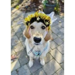 Midlee Sparkle Happy Birthday Dog Headband (Pink)