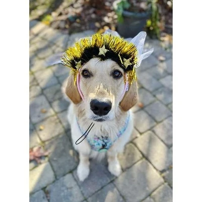 Midlee Sparkle Happy Birthday Dog Headband (Pink) 3 Midlee Sparkle Happy Birthday Dog Headband (Pink)