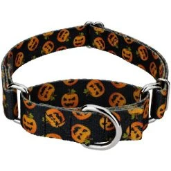 Country Brook Petz Happy Jack Martingale Dog Collar -Pet Halloween Costumes Shop GUEST a2689e38 5c5b 4b86 a53c bb9909374ea0