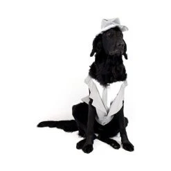 Midlee Dog Tuxedo Wedding Suit- Gray Top Hat & Leash -Pet Halloween Costumes Shop GUEST a37e2f9b ecec 4f3c 913c 1e10f6344323 1