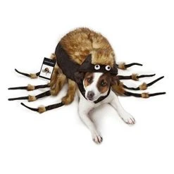 Zack & Zoey Fuzzy Tarantula Costume for Dogs 10 Zack & Zoey Fuzzy Tarantula Costume for Dogs -Pet Halloween Costumes Shop GUEST a3fc8be4 4881 4cb1 b450 d49271a25479