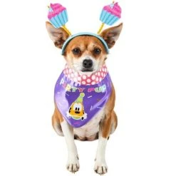 Rubie's Rubies Mickey Mouse Party Pup Pet Accessory -Pet Halloween Costumes Shop GUEST a4915414 4dba 4298 a854 010c5010b0ce 1