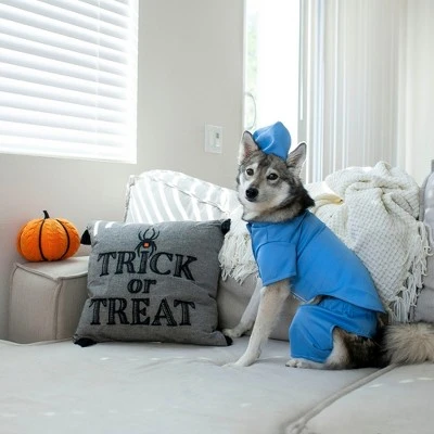 Midlee Scrubs Dog Costume - (XXX-Large) 3 Midlee Scrubs Dog Costume - (XXX-Large)